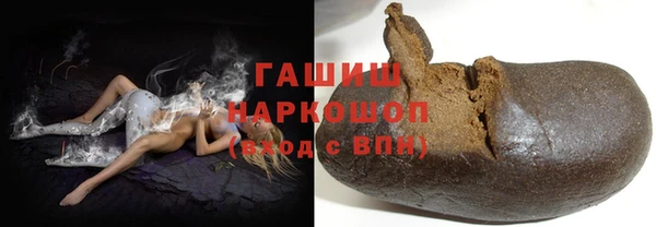 индика Арсеньев