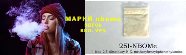 индика Арсеньев