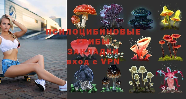эйфоретик Аркадак
