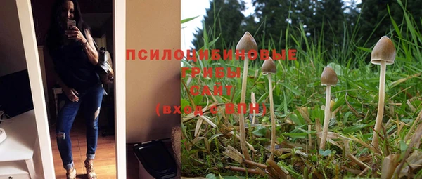 дурь Армянск